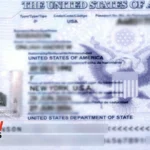 American Woman Deceived by Teenager