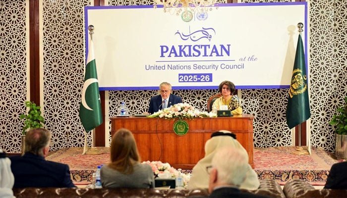 Pakistan seeks peaceful resolution of all issues on UNSC agenda 1 1267784 4037236 UNSC akhbar