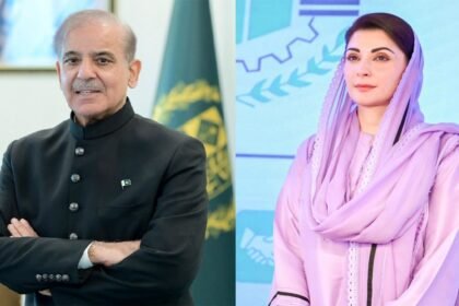 14397895511730094455