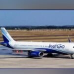 2149593 indigo 1614664087 563 640x4801614667417 0