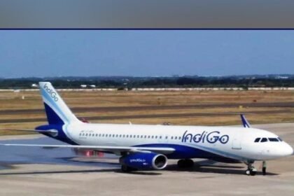 2149593 indigo 1614664087 563 640x4801614667417 0