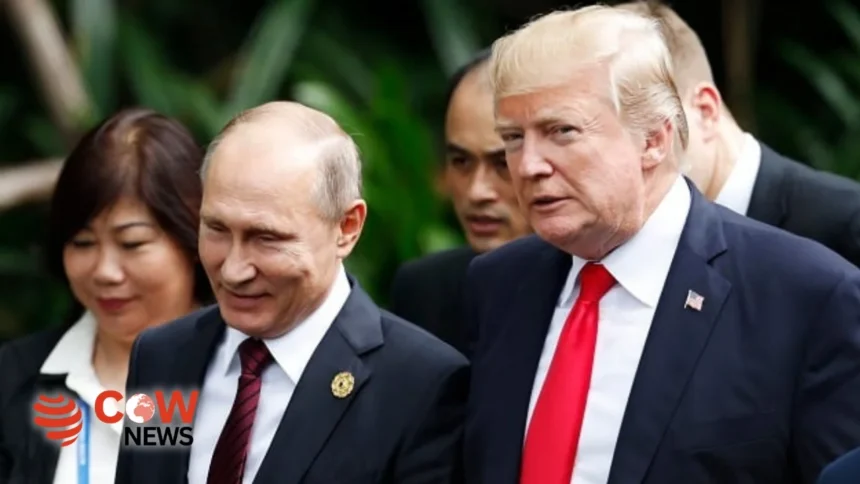 2d46be7b 7b00 4daf 93f1 616c365e067f 1