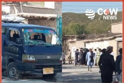 3136c21d 7b80 48c0 9479 692b79bfb336