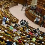 388419 3789082 updates