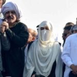 390784 3018890 updates