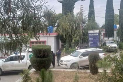 391953 1740182 updates