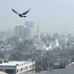 436338f3 4327 47a5 8b1d 82622073e014