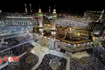 492b0115 17fc 4995 a2bc 091911e2d932