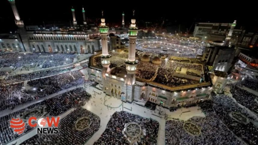 492b0115 17fc 4995 a2bc 091911e2d932