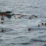 493f29ec 04d9 46db adce 51130d2ecb0b 1