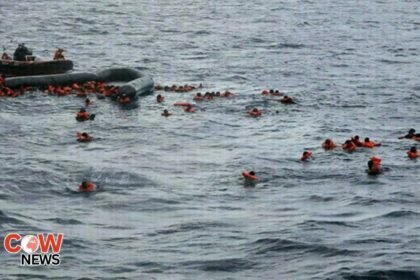 493f29ec 04d9 46db adce 51130d2ecb0b 1