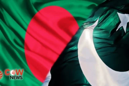 51367551 c83d 4857 9d88 cb5b5748496d