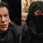 553957 1015719 updates