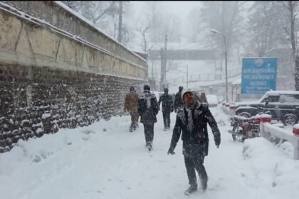 61b9f048 2721 4370 8c15 500d308f763a