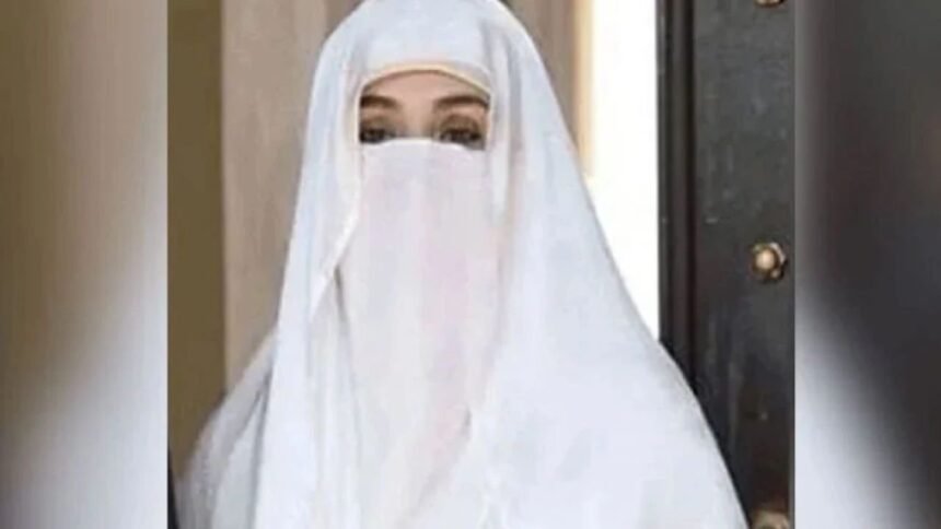 6218fdb4 05b0 4115 a875 66a4c7f31a67