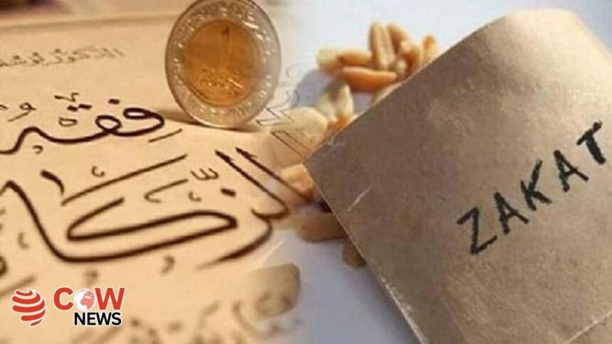 702a60fb 4bed 447e b72b 1e261e80afbf