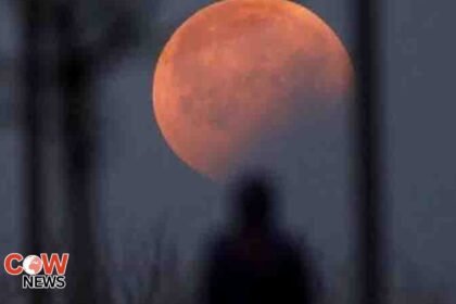 82dbc237 f5be 4e57 bacf 13c5849633a0