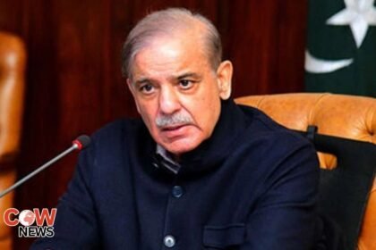 92ec2ef8 c8dd 497a a450 4c7b27b3df1f