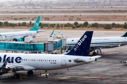 Airblue bird strike emergency landing