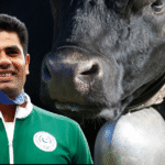 Arshad Nadeems father in law gifts him a buffalo for his historic gold medal win 1