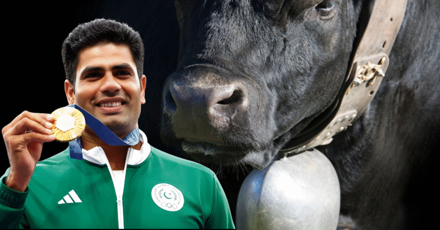 Arshad Nadeems father in law gifts him a buffalo for his historic gold medal win 1