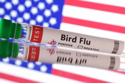 Bird Flu in Missouri_ A Wake-Up Call for Public Health