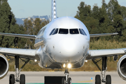 Bird Strike Grounds Lahore Karachi Flight