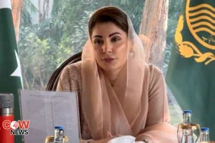 Punjab to launch talent hunt programme 9 CM punjab 1
