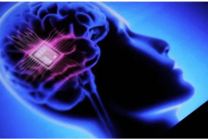 California Safeguards Brain Activity