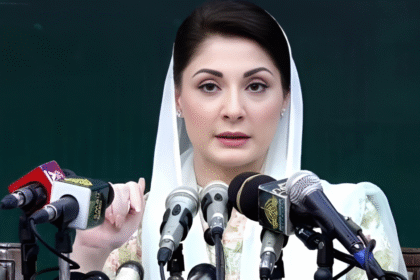 Cow news blog image 4 2