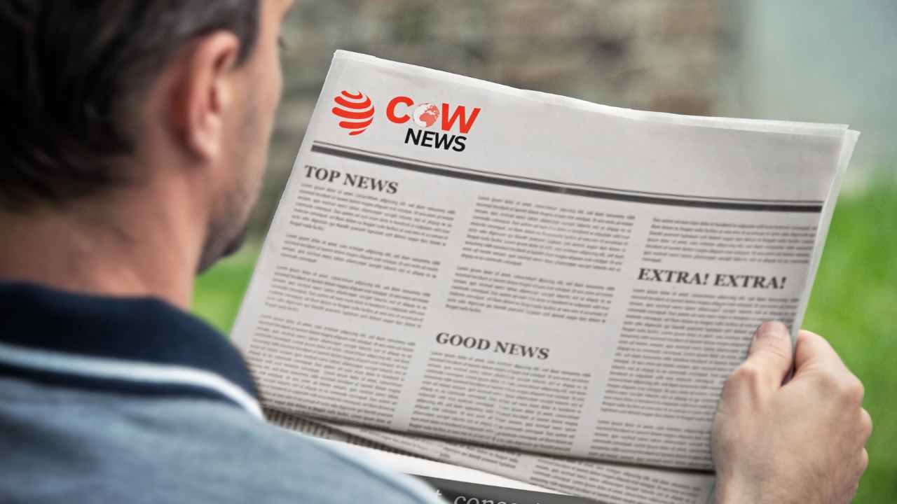Cownews-Webiste-Section