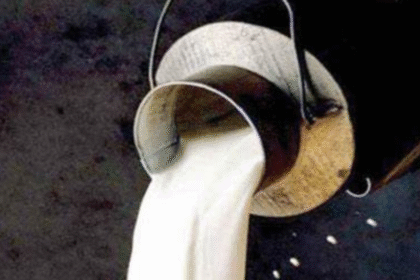 Dairy Farmers in Karachi Demand Rs80 Hike in Milk Prices blog 1