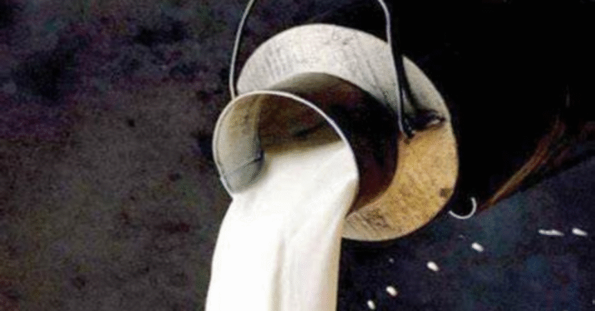 Dairy Farmers in Karachi Demand Rs80 Hike in Milk Prices blog 1