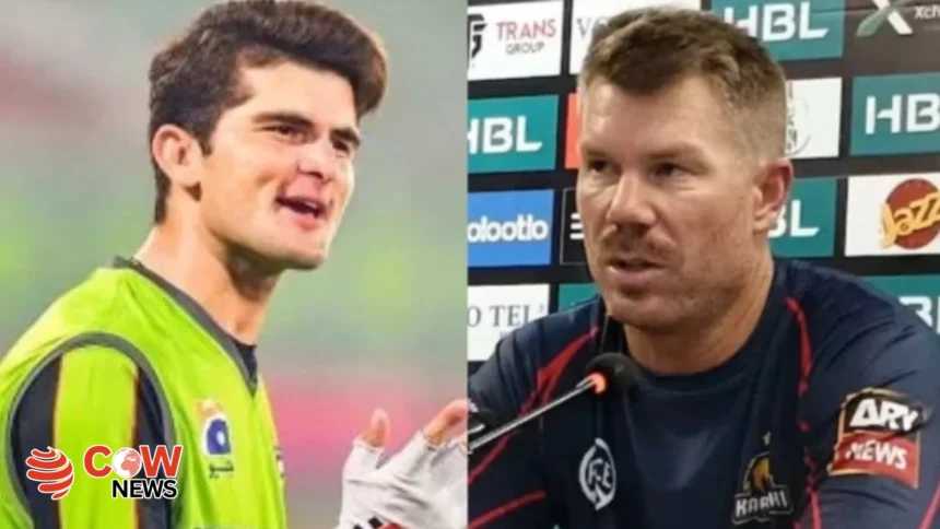 David Warner Mocks Shaheen Shah Afridi Over Incorrect Pitch Prediction 1 David Warner Mocks Shaheen Shah Afridi