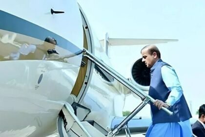 Express Tribune 71733138663 0