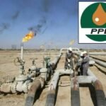 Express Tribune News Desk 81736503865 0