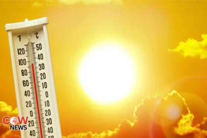 Heatwave subsides in Sindh persists in Punjab amid govt alert