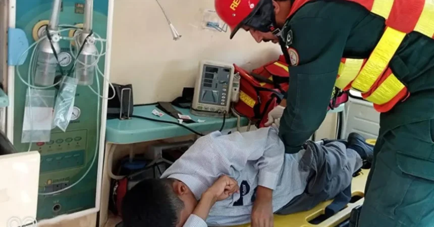 Honey Bees Unleash Fury on Rawalpindi School