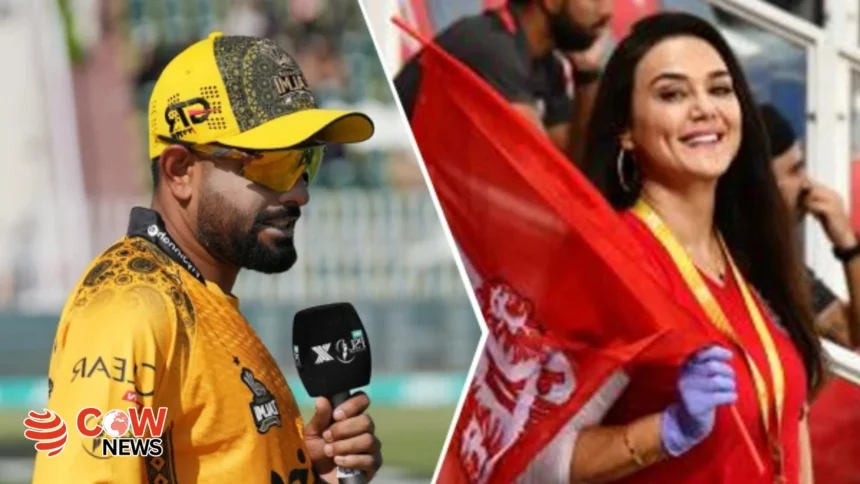 IPL Franchise Punjab Kings Signs Babar Azams Team Player Mitchell Owen