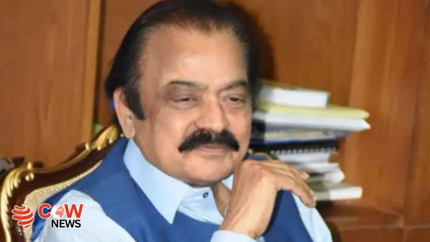 India Requested Ceasefire After Pakistans ResponseRana Sanaullah