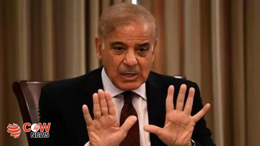 Indian Aggression Will Not Go UnpunishedPM Shehbaz Sharif