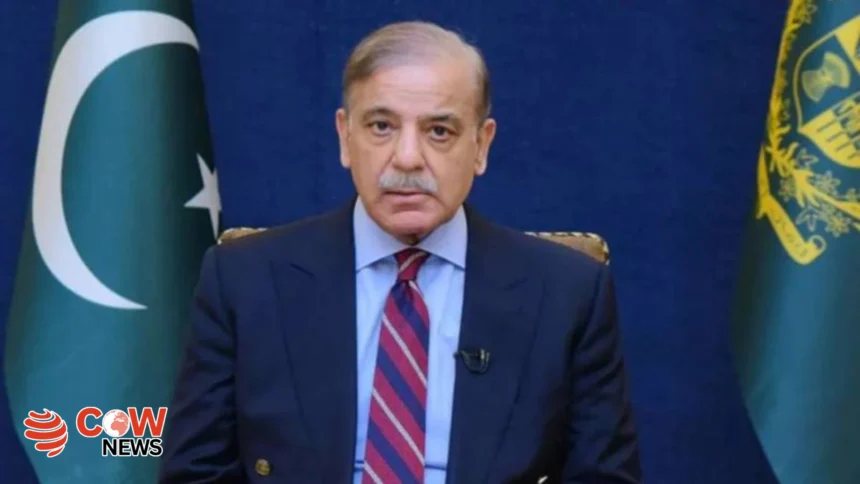 Indias cowardly act wont go unpunished vows PM Shehbaz