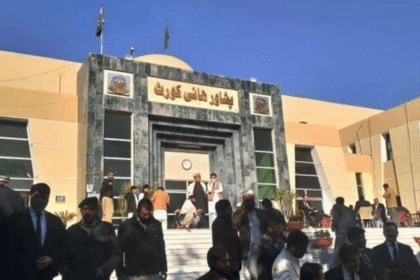 Peshawar High Court Declares Fresh VC Appointments in K-P Null and Void 9 K-P Govt's Recent VC Appointments Declared Null and Void