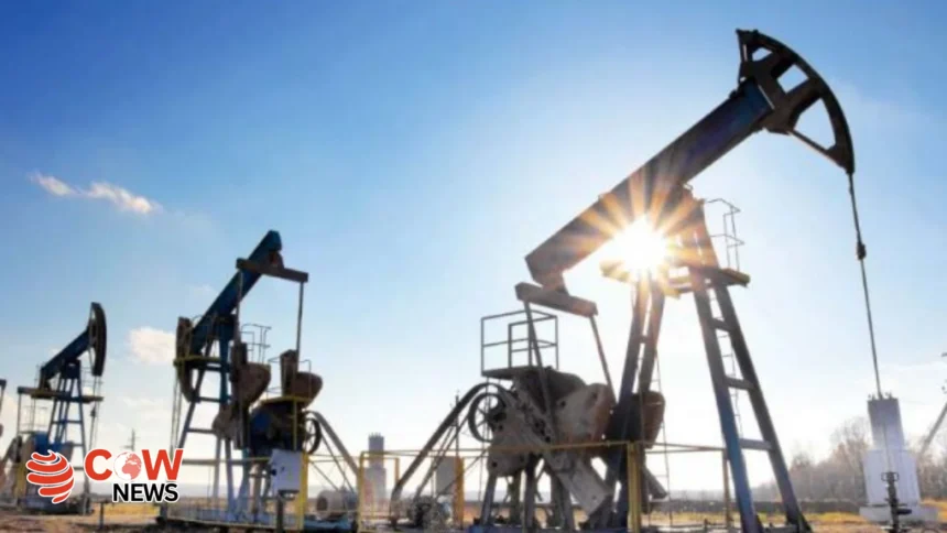 Second large oil, gas reserves discovered in Waziristan 1 Oil 2