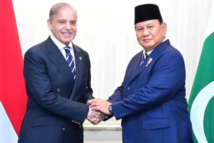 PM Shahbaz meets Indonesia1734585063 0 600x450 1