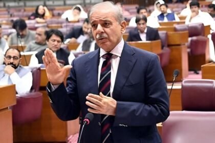 PM Shehbaz Sharif Clarifies No Decision Made on Wheat Export 1