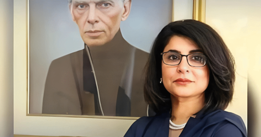 Pakistan Denounces Terror Attack on Chinese Nationals in Karachi