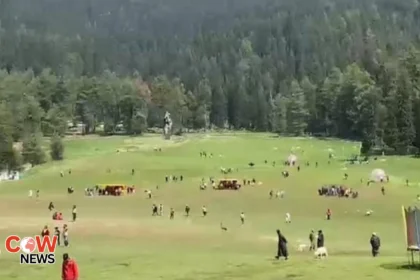 Pakistan Proposes UN Led Commission to Investigate Pahalgam Incident