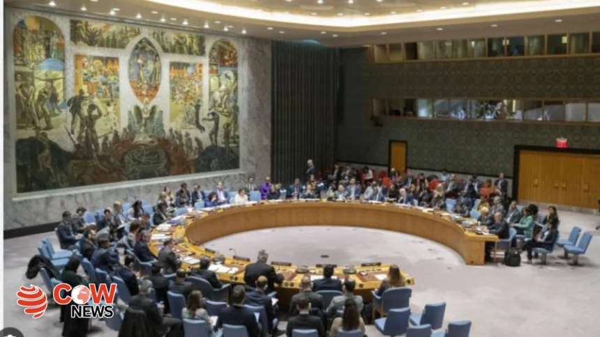 Pakistan tells UNSC it ‘reserves the right to respond