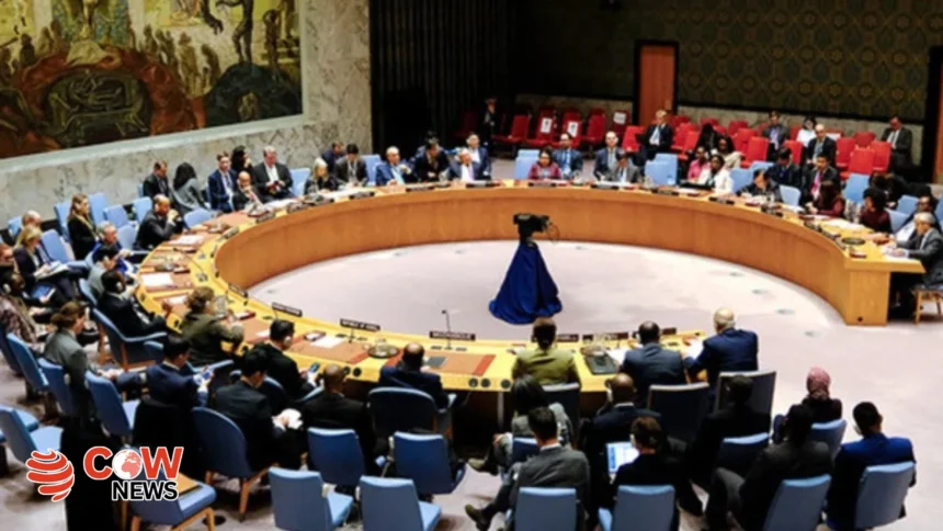 Pakistan to Raise Indias Aggressive Actions at United Nations